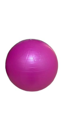Bola de Bobath ou Suíça